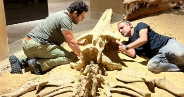 فريق من جامعة المنصورة يشارك فى تنفيذ نموذج ثلاثى الأبعاد لحفرية باسيلوصورس