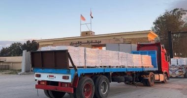 مد غزة بـ7 آلاف طن مساعدات غذائية وبترولية ضمن قافلة زاد العزة الـ 118