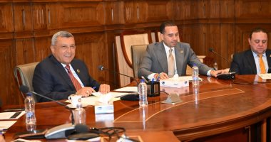 لجنة الطاقة بالشيوخ تناقش ملف توصيل الغاز بمدينة السرو بمحافظة دمياط