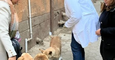 بيطري المنيا: تحصين الكلاب الحرة ضد السعار بعدة مناطق حيوية بالمحافظة