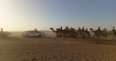 انطلاق سباق الهجن فى شمال سيناء 