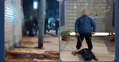 كلب يهاجم عامل بالشرقية.. والتحقيقات تكشف الحقيقة وراء الفيديو المثير
