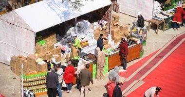 النسخة الأولى من كنوز مطروح