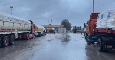 أستاذ علاقات دولية: مصر محرك أساسى لحل أزمة غزة وإحباط مخطط التهجير