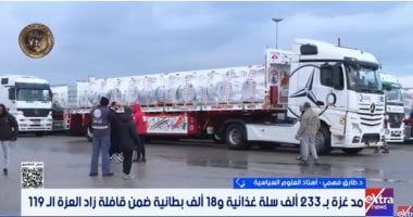 أستاذ علوم سياسية: الدور المصري محوري في دعم لجنة إدارة غزة وإعادة الإعمار