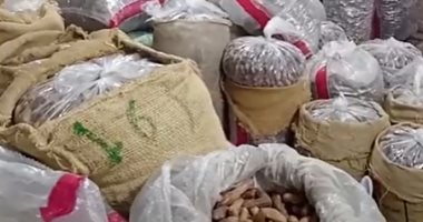 بشاير رمضان.. السكوته وبنديلا والشامية أشهر أنواع التمور بكفر الشيخ.. فيديو