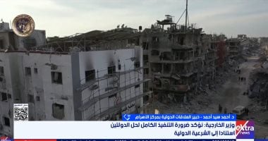 خبير: مصر تقود حراكًا دوليًا لإعمار غزة وتحذر من مخططات تهجير الفلسطينيين