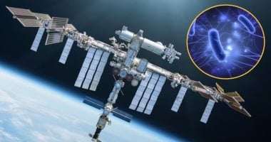 الفيروسات والبكتيريا خارج الكوكب: رحلة تطور غير متوقعة