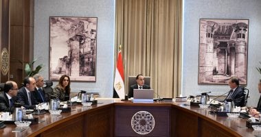 إجراءات حكومية للتعامل مع الحيوانات والكلاب الضالة.. مراكز إيواء بعيدا عن الكتلة السكنية بالمحافظات.. ومدبولي يوجه المحافظين بتوفير الأماكن المطلوبة وزيادة المتعاقد معهم لأداء مهام التعقيم والتحصين