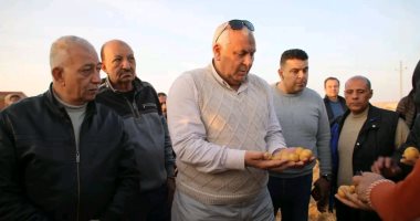 محافظ الوادي الجديد يتابع منظومة الجمع الآلى لحصاد البطاطس فى أبو منقار