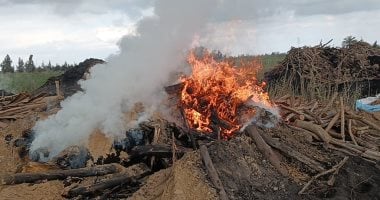 محافظ الدقهلية إزالة 103 مكامير فحم مخالفة بمركز بلقاس