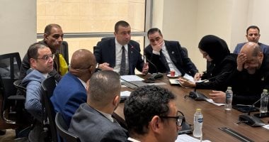 مصر تبدأ رحلة توطين الصناعة.. منحة كورية بـ10 ملايين دولار لدعم صناعة السيارات