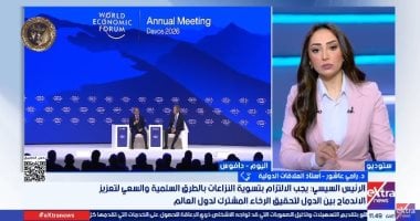 رامى عاشور: تصريحات الرئيس السيسى تعكس إدراكا كاملا لتعقيدات النظام الدولى