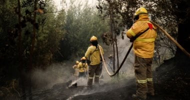 حرائق غابات فى الشتاء.. إجلاء السكان فى تشيلى بعد تمدد النيران إلى المنازل