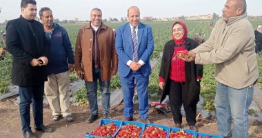 وكيل زراعة الغربية يشارك باجتماع بشركة طنطا للكتان ويتفقد مزرعة لإنتاج الفراولة
