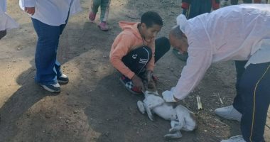 تحصين 23 كلبا ضد السعار بقرية أولاد نصير ضمن خطة السيطرة على كلاب الشوارع