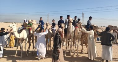 سباقات الهجن بقرى ونجوع إسنا تبهج قلوب الشباب بالموالد والاحتفالات.. صور