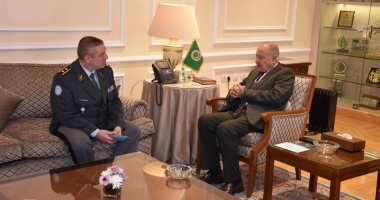 أبو الغيط يلتقى رئيس بعثة الأمم المتحدة لمراقبة الهدنة 
