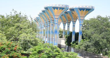 اعرف الشروط ومواعيد التقديم.. وظائف قيادية خالية فى جامعة قناة السويس