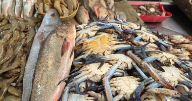 أسعار الأسماك بأسواق مطروح اليوم الأحد 25-1-2026.. اللوت بـ 200 جنيه
