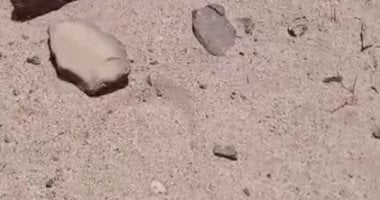 «قصاص الأثر» في الصحراء الشرقية.. حرفة فطرية متوارثة تكشف هوية الجناة من بصمة القدم فوق الرمال المفتوحة.. يعتمد عليها الأهالي لحل النزاعات وكشف الحقيقة رغم تطور الزمن والتكنولوجيا