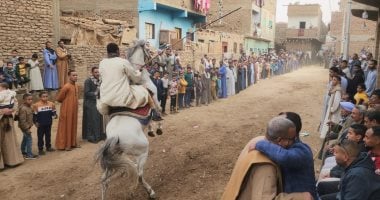 مشهد رائع من قلب الصعيد.. سباقات الخيول العربية فى مولد العشى.. مباشر وصور
