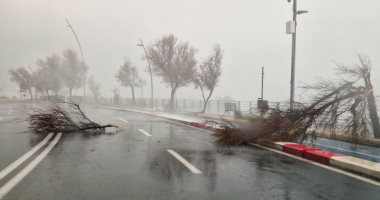 غلق المدارس وتوقف حركة السير.. طقس عاصف يضرب صقلية بإيطاليا