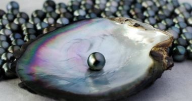 أجمل 4 أحجار كريمة باللون الأسود.. حظ برج الأسد موضة 2026