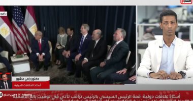 أستاذ علاقات دولية: القمة المصرية الأمريكية فى دافوس تدل على الشراكة الاستراتيجية بين البلدين