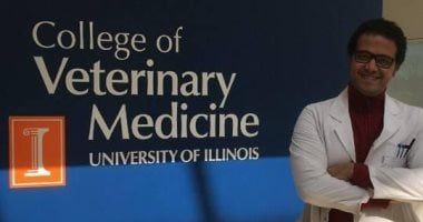 البيزنس الأسود من دماء الكلاب.. باحث بجامعة إلينوي الأمريكية وعضو هيئة التدريس بجامعة القاهرة يكشف لـ"اليوم السابع" خبايا تصدير دماء الكلاب الضالة لأمريكا بالدولار.. ويؤكد: جمعيات حقوق الحيوان تفاقم الأزمة