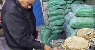 تحرير 17 محضرا متنوعة فى حملة رقابية على 28 مخبزا بالدقهلية