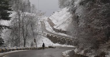 ترامب يعلن حالة الطوارئ فى فيرجينيا وساوث كارولاينا بسبب العواصف الثلجية