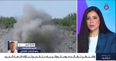 برلماني أوكراني: كييف تثمّن أي لقاء مع الحلفاء الأمريكيين