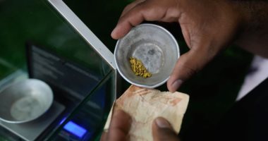 من المنجم للمستهلك.. رحلة اكتشاف الذهب فى فنزويلا 