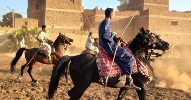 صهيل الخيول وغبار الميدان.. مرماح عبد الرحيم القنائى تراث حى يجمع الفرسان فى أكبر احتفالية