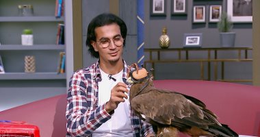 ذئب وصقر وثعبان في استوديو «واحد من الناس»… مواجهة مثيرة مع عمرو الليثي