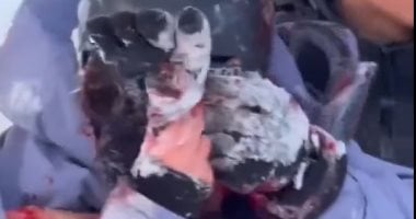 نمر ثلجى يهاجم سائحة