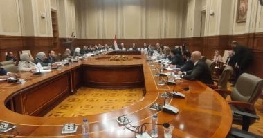وزير التعليم العالى يشارك فى مناقشة مشروع قانون المستشفيات الجامعية بالشيوخ