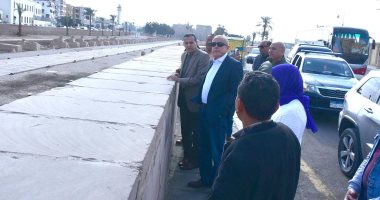 محافظ الأقصر يتفقد أعمال تنظيف وتجميل طريق الكباش.. صور