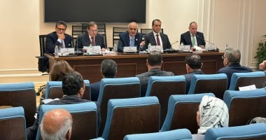 9 نواب يعترضون على تعديل قانون الكهرباء بسبب تغليظ العقوبات بلا حلول