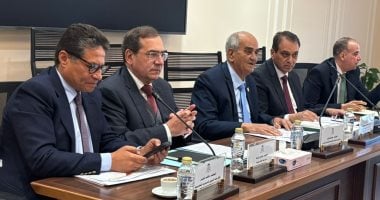 طارق الملا: تضخم سرقة الكهرباء يهدد موارد الدولة وتعديل القانون يشدد الحبس والغرامة