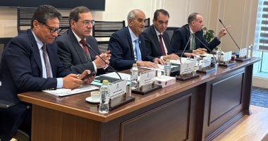 وكيل تشريعية النواب: تشديد العقوبات وحده لا يكفى لمواجهة سرقات التيار الكهربائى