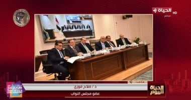 صلاح فوزي لـ الحياة اليوم: تشديد عقوبات سرقة الكهرباء يحقق المصلحة العامة