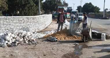 حملات فى العياط لتجميل الطرق ومداخل القرى وتحسين مستوى النظافة.. صور