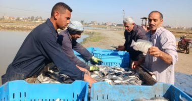 الخير في أرض مصر.. صيادو الشرقية يتحدون البرد بابتسامة أمل.. فيديو وصور