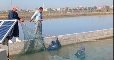 تجربة حية لصيد أسماك البلطى النيلى داخل الأحواض المائية بالشرقية
