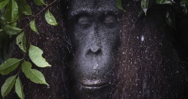 مسابقة بيندا للتصوير الفوتوغرافى تكشف عن الفائزين لعام 2026