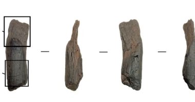 اكتشاف أدوات خشبية عمرها 430 ألف عام فى اليونان