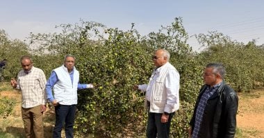 رئيس مركز بحوث الصحراء يتفقد الأنشطة البحثية بمحطة توشكى