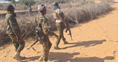 الجيش الصومالي يسيطر على منطقة "جبد غودني" بمحافظة شبيلى الوسطى